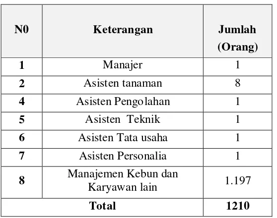 Tabel 2.1. Jumlah Tenaga Kerja di PTPN III Kebun Rambutan 