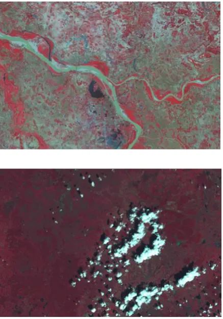 Figure 2. Landsat TM image date 1992/10/21 (up) and Landsat TM image used to get cloud (down) 