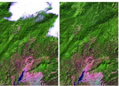 Figure 15: Cloud image (left) and result image (right) of Landsat-ETM image date 2002/01/05 