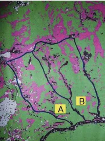 Figure 7: The mapping result for study site. green area shows ev-ergreen forest, pink deciduous forest, black soil, blue water whitecloud