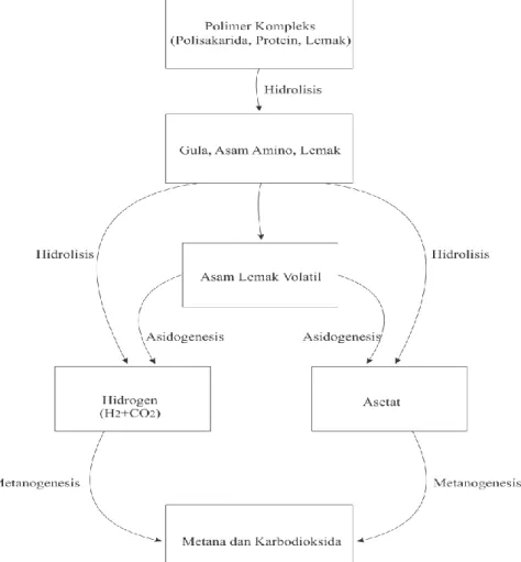 Gambar 7. Diagram alur proses pencernaan anaerobik (Ahring, 2003) 