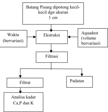 Gambar 1. Prosedur Penelitian. 