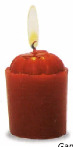 Gambar 1. Lilin 