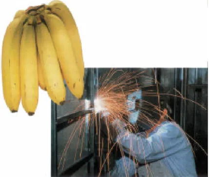 Gambar  8.  Karbit jika dicampur dengan air akan menghasilkan gas  karbit  yang dapat digunakan untuk mengelas dan mempercepat  pemasakan buah 