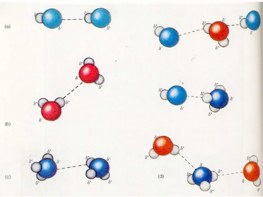 Gambar 1.12. Ikatan hydrogen pada molekul HF, H 2 O dan NH 3 . 