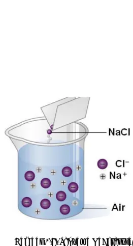 Gambar 2.8. Senyawa NaCl terurai  menjadi ionͲion, sebagai bentuk  bahwa ion ada di alam 