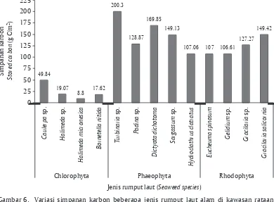Gambar 6. Variasi simpanan karbon beberapa jenis rumput laut alam di kawasan rataan