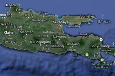 Figure 1. East Java Waters with sampling location (Google Earth, 2015) 