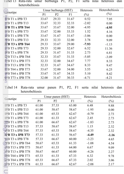 Tabel 13 Rata-rata umur berbunga P1, P2, F1 serta nilai heterosis dan heterobeltiosis 