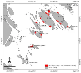 Gambar 5. Sebaran budi daya rumput laut yang ada di lokasi penelitianFigure 5. Distribution of existing seaweed culture in study area