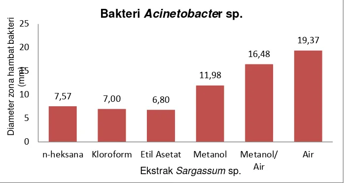 Gambar 1. Diameter zona hambat bakteri Acinetobacter sp.  