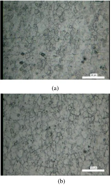 Figure 10. Microstructures for Zpl1CDFW joint for specimen with  (a) maximum torsion strength,  zone in D1/D2 = 1 dan (b) minimum torsion strength, D1/D2 = 0.02