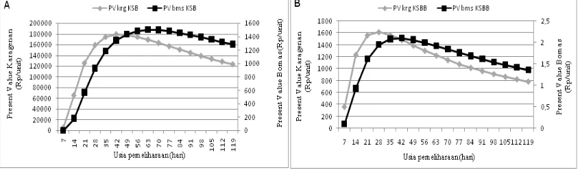Gambar 3 Present  value karaginan  (KRG)  dan  biomasa  (BMS)  E.  Cottonii padakawasan stabil baik KSB (panel A) dan KSBB (panel B).
