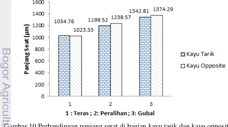 Gambar 10 Perbandingan panjang serat di bagian kayu tarik dan kayu opposite 