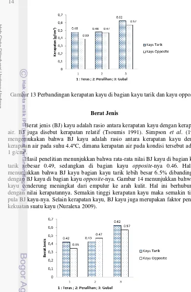 Gambar 13 Perbandingan kerapatan kayu di bagian kayu tarik dan kayu opposite 