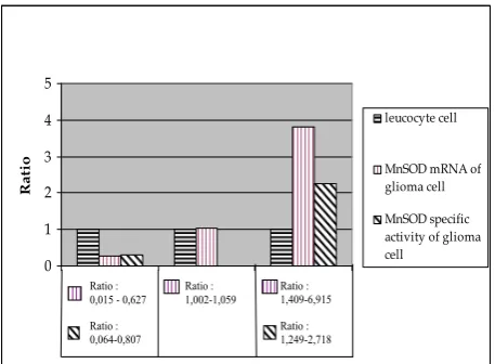 Figure 2. Fluorescent curve in RT- PCR. Ct: Cycle threshold,   NTC: Non template Control