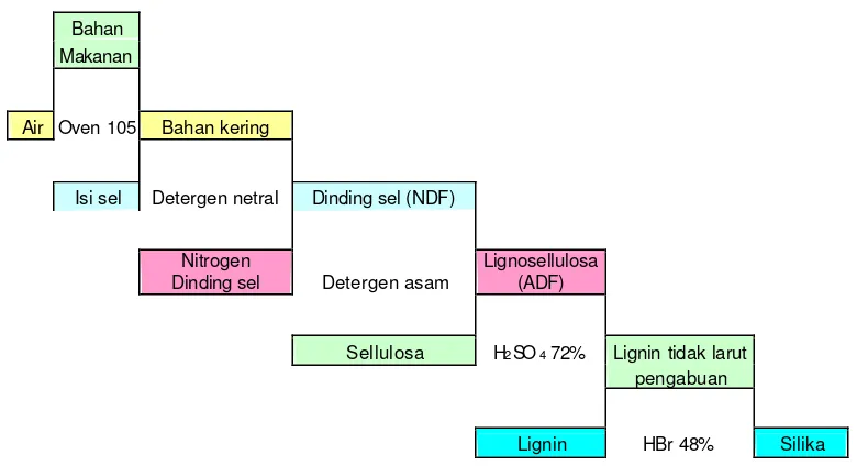 Gambar 2. Skema Pembagian Fraksi Serat Berdasarkan Analisa Van Soest 