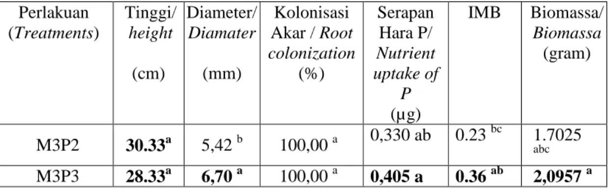 Tabel  2  menunjukkan  bahwa  perlakuan  M3P3      ((mikoriza  5  g  dengan  pupuk  NPK 1 g) memberikan hasil yang berbeda pada semua parameter yang diamati kecuali  IMB