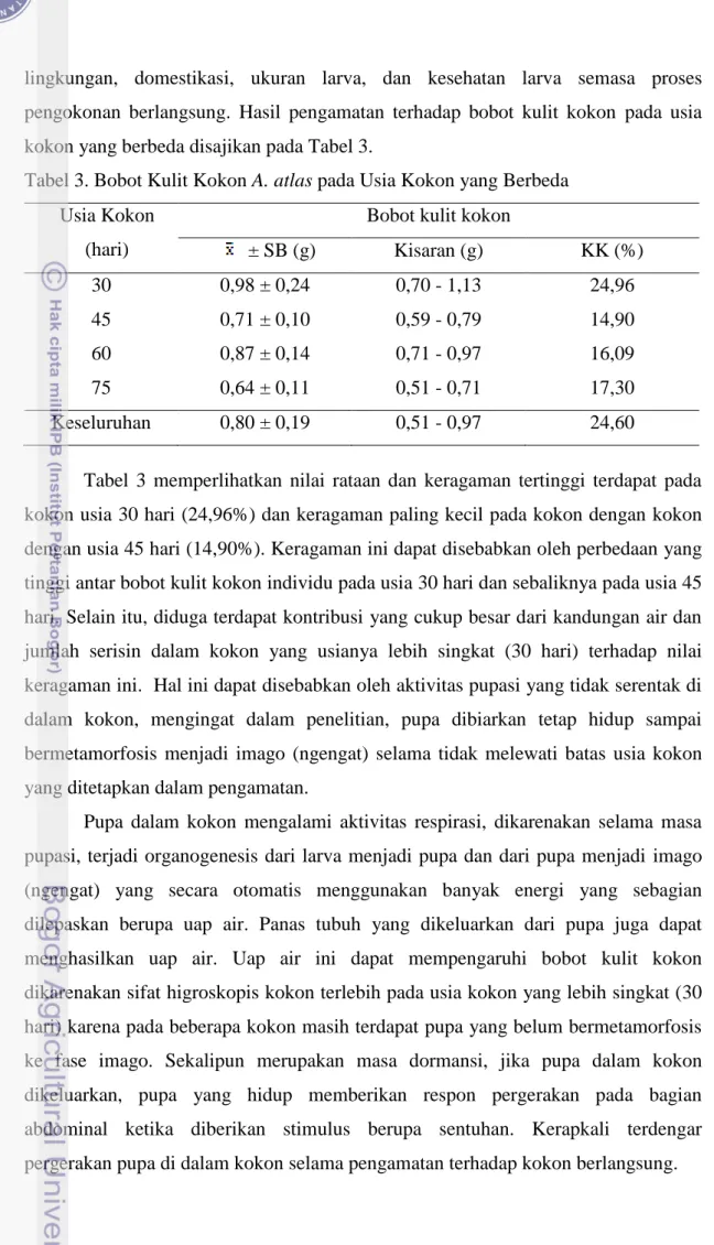 Tabel 3. Bobot Kulit Kokon A. atlas pada Usia Kokon yang Berbeda  Usia Kokon 