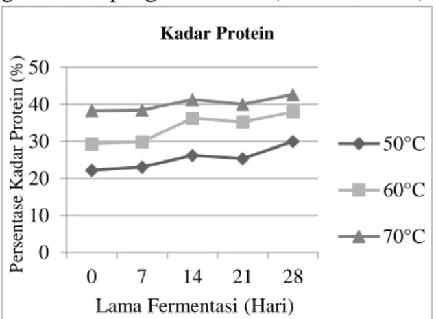 Gambar 2.  Hasil pengujian kadar protein  Berdasarkan Gambar 2 menunjukan  bahwa lama fermentasi dan perbedaan suhu  pengeringan  berpengaruh  terhadap  kadar  protein  terasi  bubuk  yang  dihasilkan