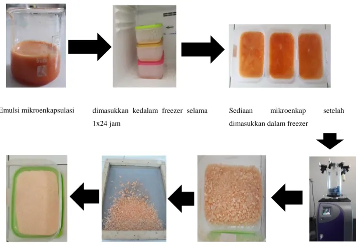 Gambar 2. Diagram proses mikroenkapsulasi Kesumba dengan Freeze Dry 