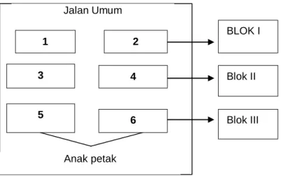 Gambar 3.  petak kebun murbei 