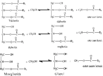Gambar 2.2Tiga Tahapan Reaksi Transesterifikasi
