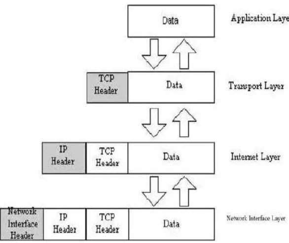 Gambar 2.13 Lapisan TCP/IP 