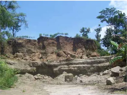 Gambar 6: Bukit bekas penambangan fosil di Dusun Grogolan  Wetan. (Dari koleksi foto penulis).