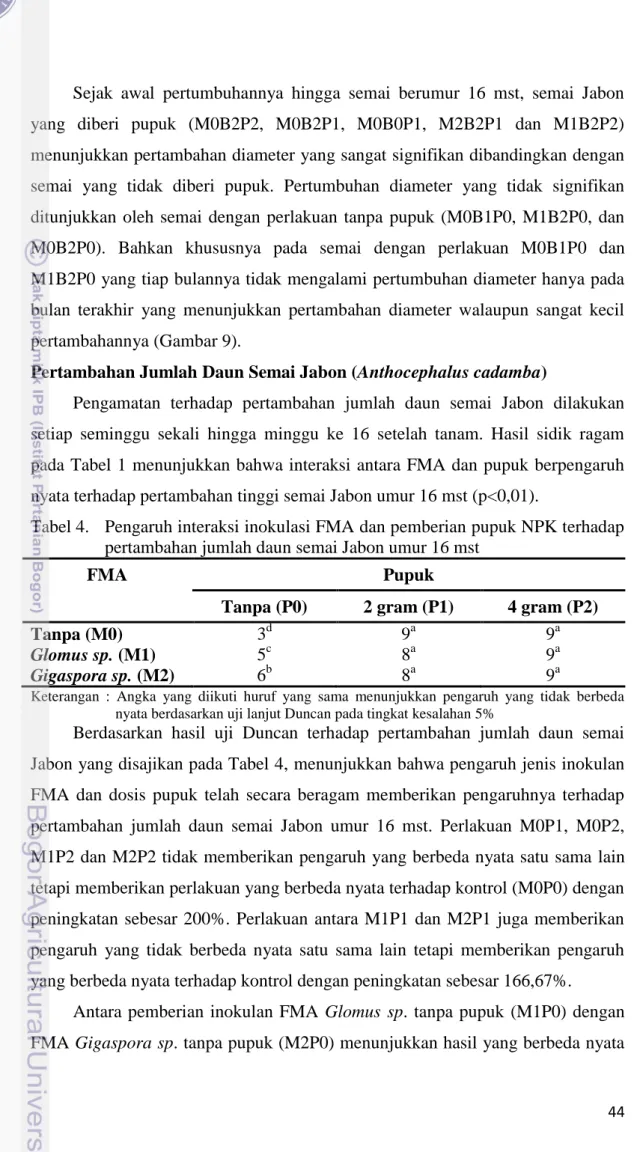 Tabel 4.  Pengaruh interaksi inokulasi FMA dan pemberian pupuk NPK terhadap  pertambahan jumlah daun semai Jabon umur 16 mst 