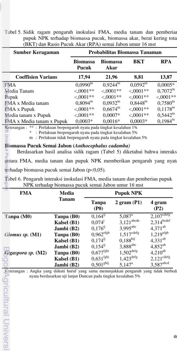 Tabel 6. Pengaruh interaksi inokulasi FMA, media tanam dan pemberian pupuk  NPK terhadap biomassa pucuk semai Jabon umur 16 mst 