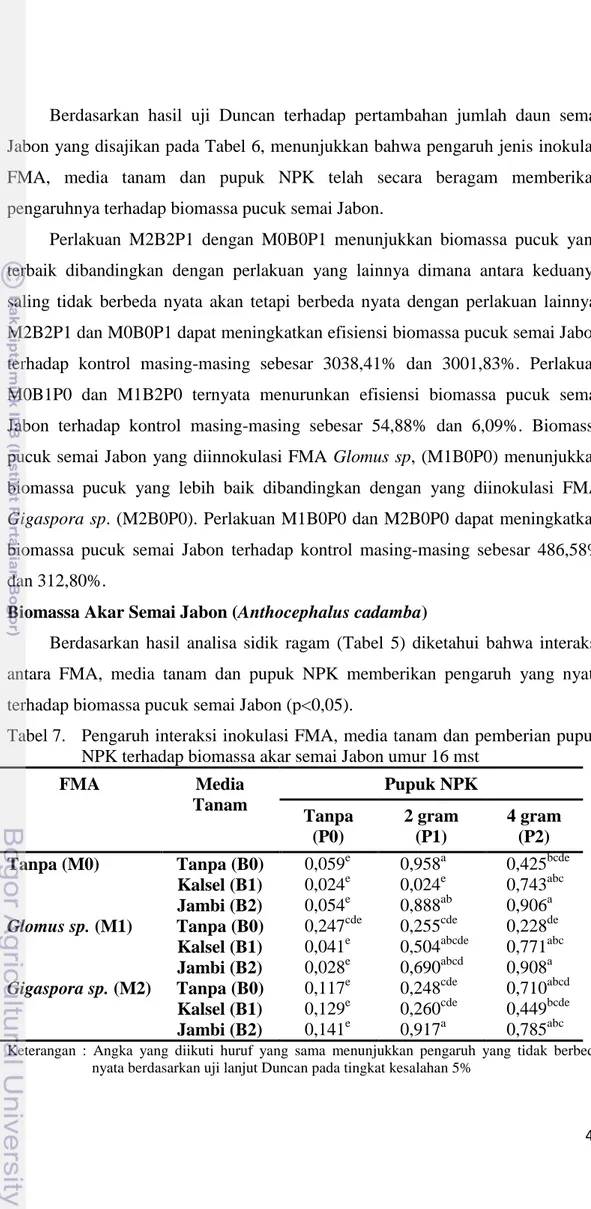 Tabel 7.  Pengaruh interaksi inokulasi FMA, media tanam dan pemberian pupuk  NPK terhadap biomassa akar semai Jabon umur 16 mst 