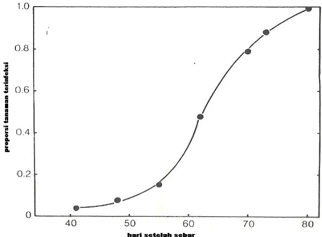 Gambar 3. 7. Intensitas tanaman timun yang terinfeksi CMV selama musimtanam.Intensitas meningkat secara eksponetial selama awalmusim sampai tanaman sehat terbatas (Loebenstein et al, 1966dalam Fry, 1982).
