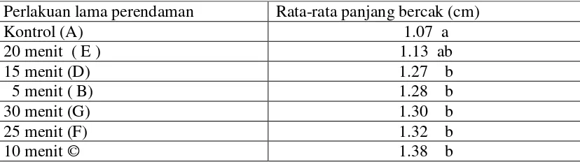 Tabel 2. Pengaruh ekstrak daun sirih terhadap panjang bercak antraknosa pada cabai