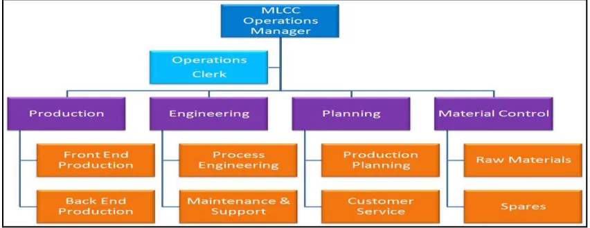Figure 3: Strategic Business Unit organization structure   