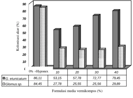Gambar  6. Pengaruh jenis inokulum CMA dan formulasi media vermikompos  terhadap jumlah spora CMA tanaman inang  P