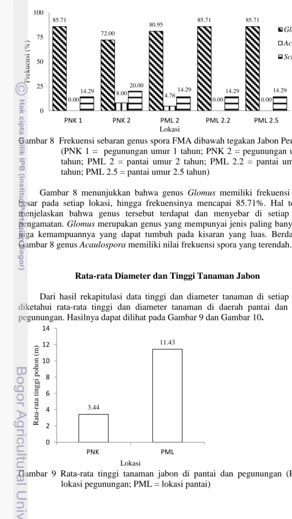 Gambar 8  Frekuensi sebaran genus spora FMA dibawah tegakan Jabon Pemalang  (PNK 1 =    pegunungan umur 1 tahun; PNK 2 = pegunungan umur 2  tahun;  PML  2  =  pantai  umur  2  tahun;  PML  2.2  =  pantai  umur  2.2  tahun; PML 2.5 = pantai umur 2.5 tahun) 