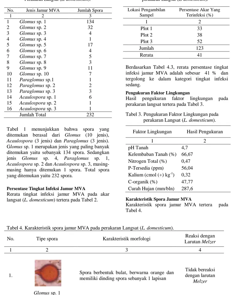 Tabel 1. Jenis dan Jumlah Spora Jamur MVA pada      Perakaran Langsat (L. domesticum)