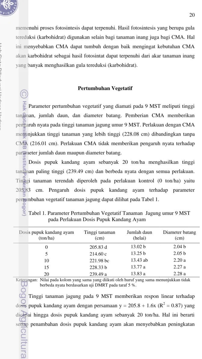 Tabel 1. Parameter Pertumbuhan Vegetatif Tanaman  Jagung umur 9 MST                 pada Perlakuan Dosis Pupuk Kandang Ayam 