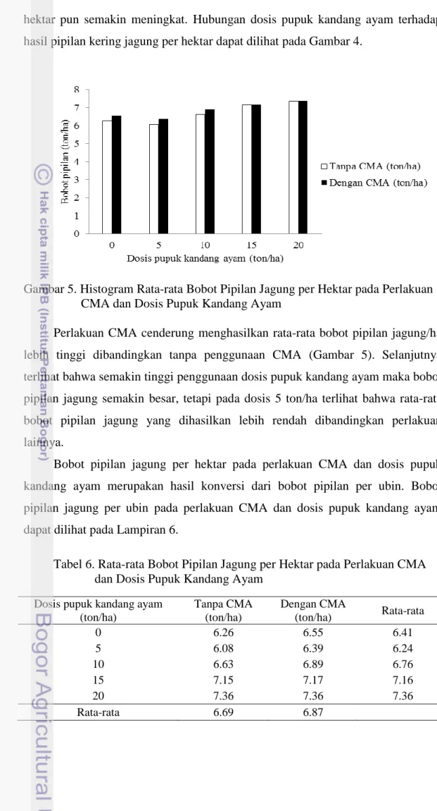 Gambar 5. Histogram Rata-rata Bobot Pipilan Jagung per Hektar pada Perlakuan                  CMA dan Dosis Pupuk Kandang Ayam 
