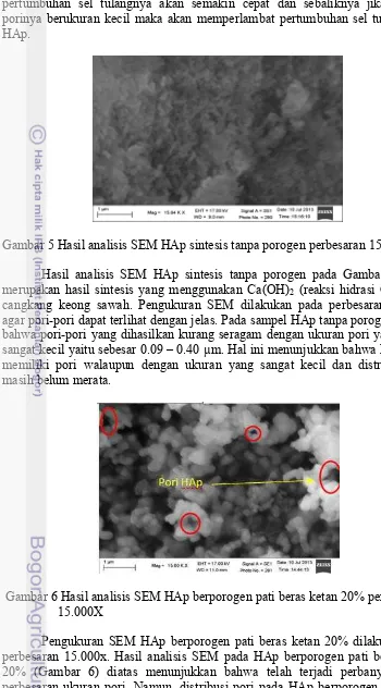 Gambar 5 Hasil analisis SEM HAp sintesis tanpa porogen perbesaran 15.000X 
