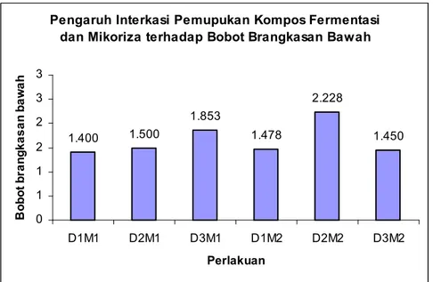 Gambar 2. Grafik Pengaruh Interaksi Kompos Fermentasi dan Pupuk Hayati Mikoriza  terhadap Bobot Brangkasan Bawah Tanaman Buncis 