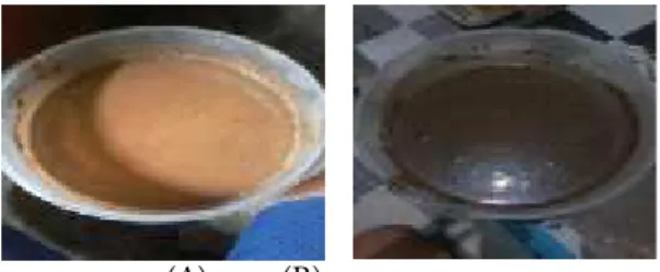Gambar 1. sampel kulit pisang sebelum fermentasi (A) dan sesudah fermentasi (B)