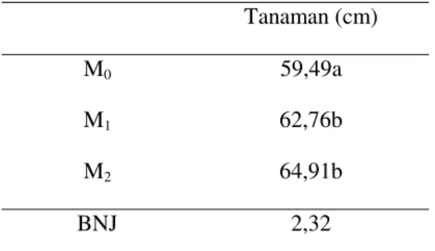 Tabel 2. Rata-rata Tinggi Tanaman Bawang       Merah  Umur    5  MST    Pada   Pemberian Jenis Mulsa