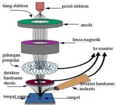 Gambar 5. Skema Mikroskop Pemindai Elektron 