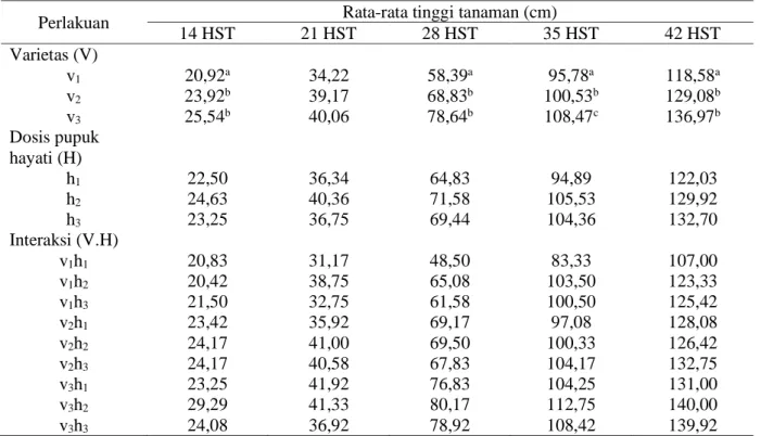 Tabel 1. Hasil uji rata-rata tinggi tanaman jagung manis umur 14, 21, 28, 35 dan 42 HST  Perlakuan  Rata-rata tinggi tanaman (cm) 