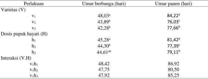 Tabel 4. Hasil uji rata-rata umur berbunga dan umur panen tanaman jagung manis pada perlakuan  varietas dan pupuk hayati 