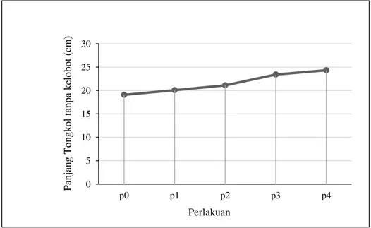 Gambar 5. Grafik hubungan aplikasi pupuk organik cair terhadap rata-rata panjang tongkol tanpa        kelobot