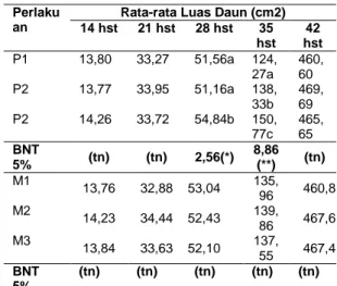 Tabel 4. Rata – Rata Luas Daun 