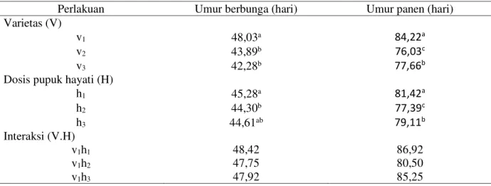 Tabel 4. Hasil uji rata-rata umur berbunga dan umur panen tanaman jagung manis pada perlakuan  varietas dan pupuk hayati 